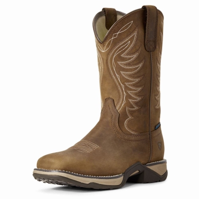 Botas Occidentales Ariat Anthem Impermeables Mujer Marrom | MX-59YNRP