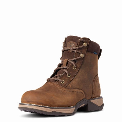 Botas Occidentales Ariat Anthem Round Puntera Lacer Impermeables Mujer Marrom | MX-03ROXV