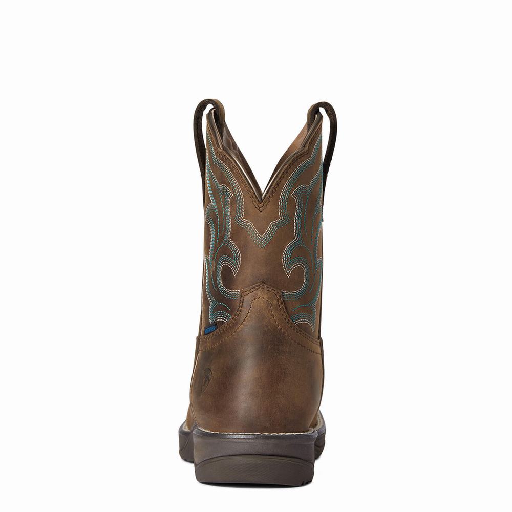 Botas Impermeables Ariat Anthem II Impermeables Mujer Marrom | MX-75KGNQ