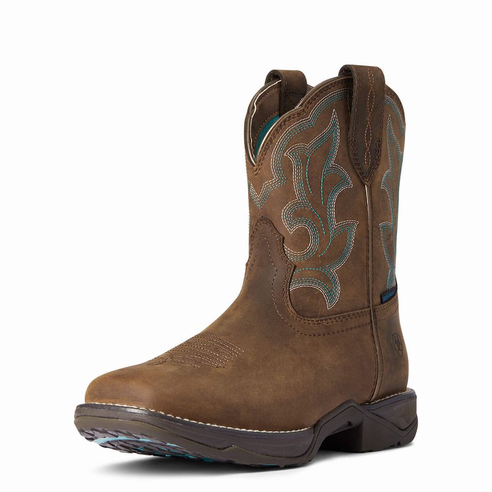 Botas Impermeables Ariat Anthem II Impermeables Mujer Marrom | MX-75KGNQ
