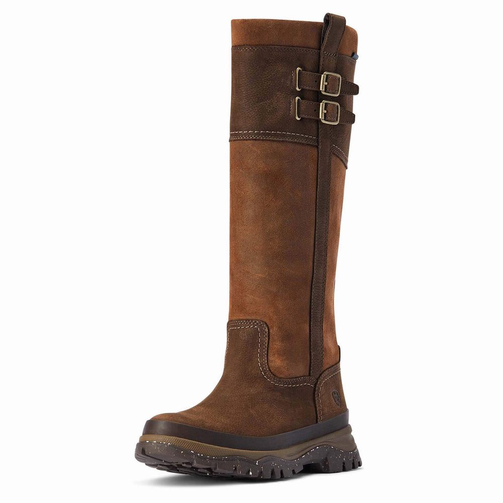 Botas Impermeables Ariat Moresby Altos Impermeables Mujer Multicolor | MX-10TGMW