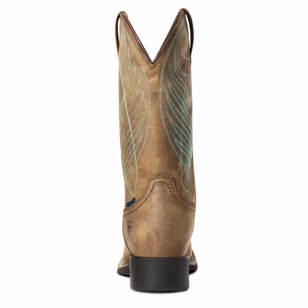 Botas Impermeables Ariat Round Up Anchos Square Puntera Impermeables Mujer Marrom | MX-86LZCE