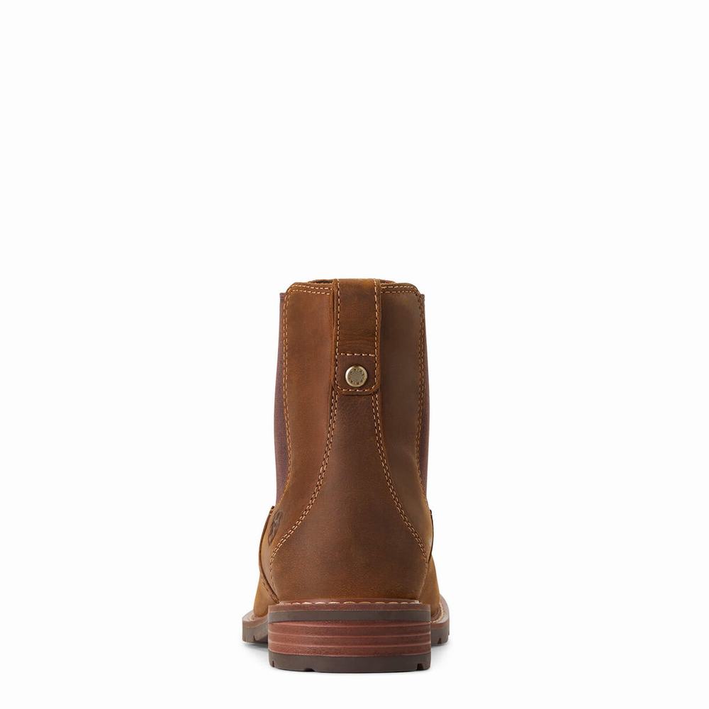 Botines Ariat Wexford Impermeables Mujer Marrom | MX-49PAOL
