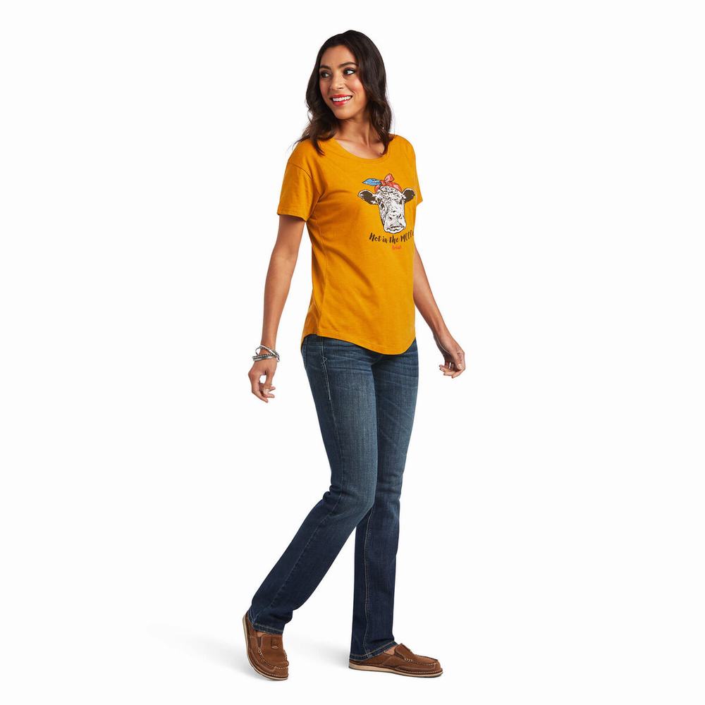 Tops Ariat Not in the Mood Mujer Multicolor | MX-19PBTF